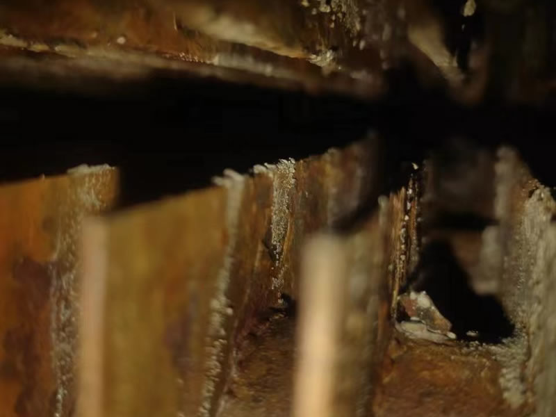 省煤器（qì）清洗